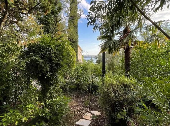 Park דירה דראמליי